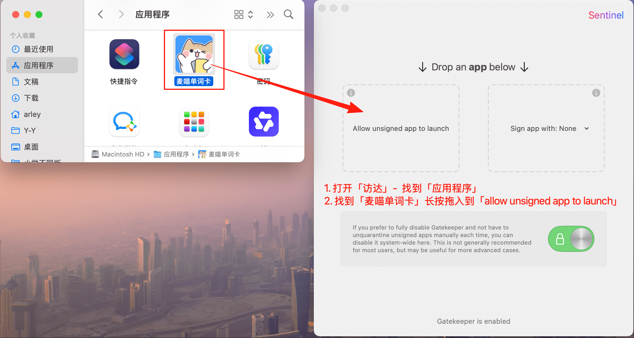 Sentinel 安装过程示意图